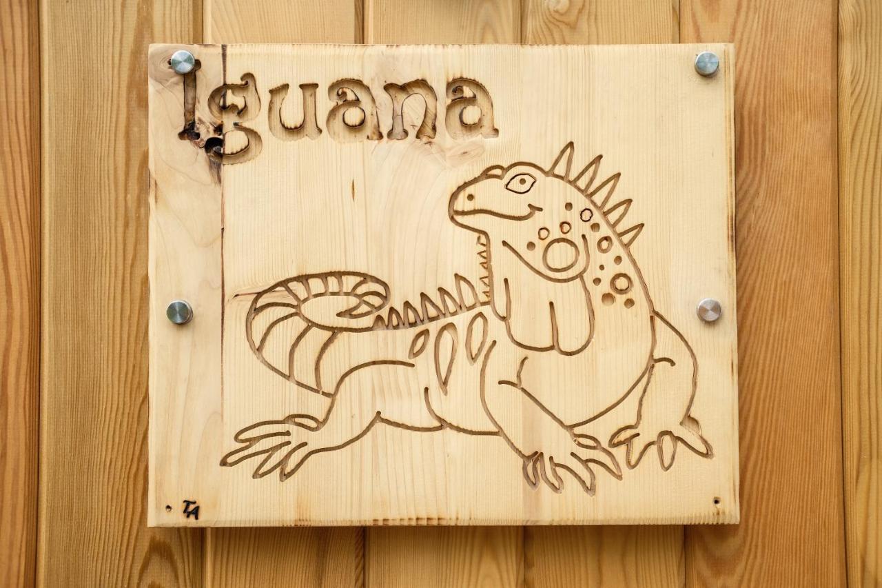 Iguana - Das Tiny Haus Am Reptilienzoo Reptilium Landau in der Pfalz Exterior foto